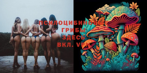 спиды Гусь-Хрустальный