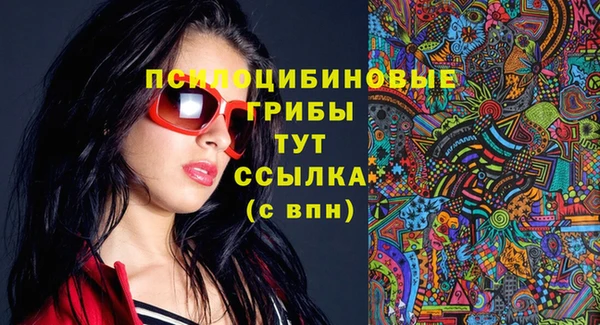 мет Гусев