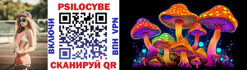 Псилоцибиновые грибы Cubensis Костерёво